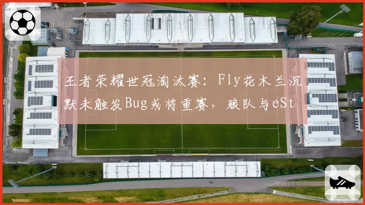 王者荣耀世冠淘汰赛：Fly花木兰沉默未触发Bug或将重赛，狼队与eStar冲突风险骤升